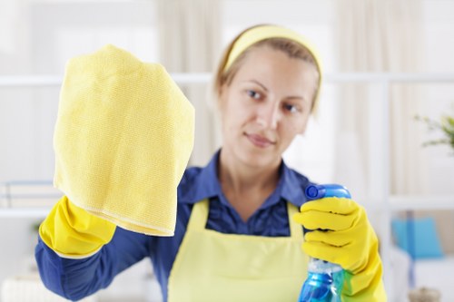Professional sofa cleaning service for homes in SW4