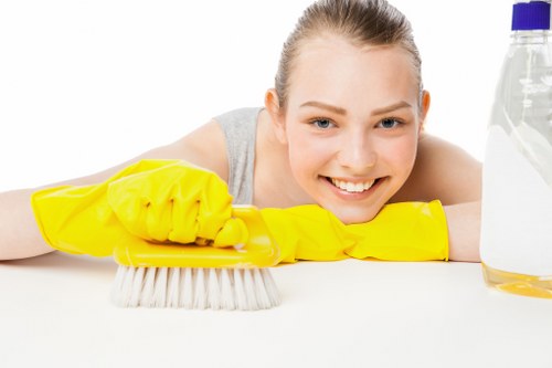 Professional carpet cleaning equipment in a SW4 home