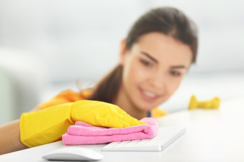 Odour neutralising treatment for a sofa in a Clapham flat