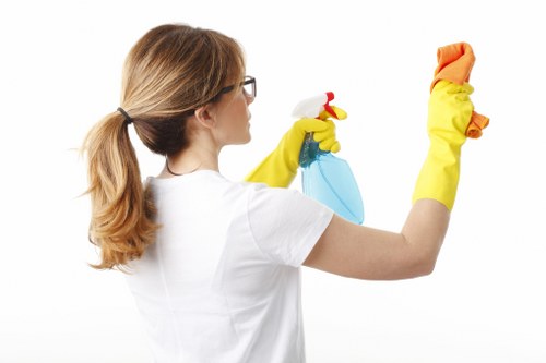 Detailed post-construction cleaning in a SW4 flat