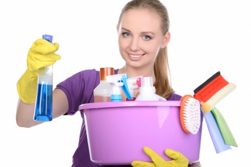 Detailed bathroom and kitchen cleaning in SW4
